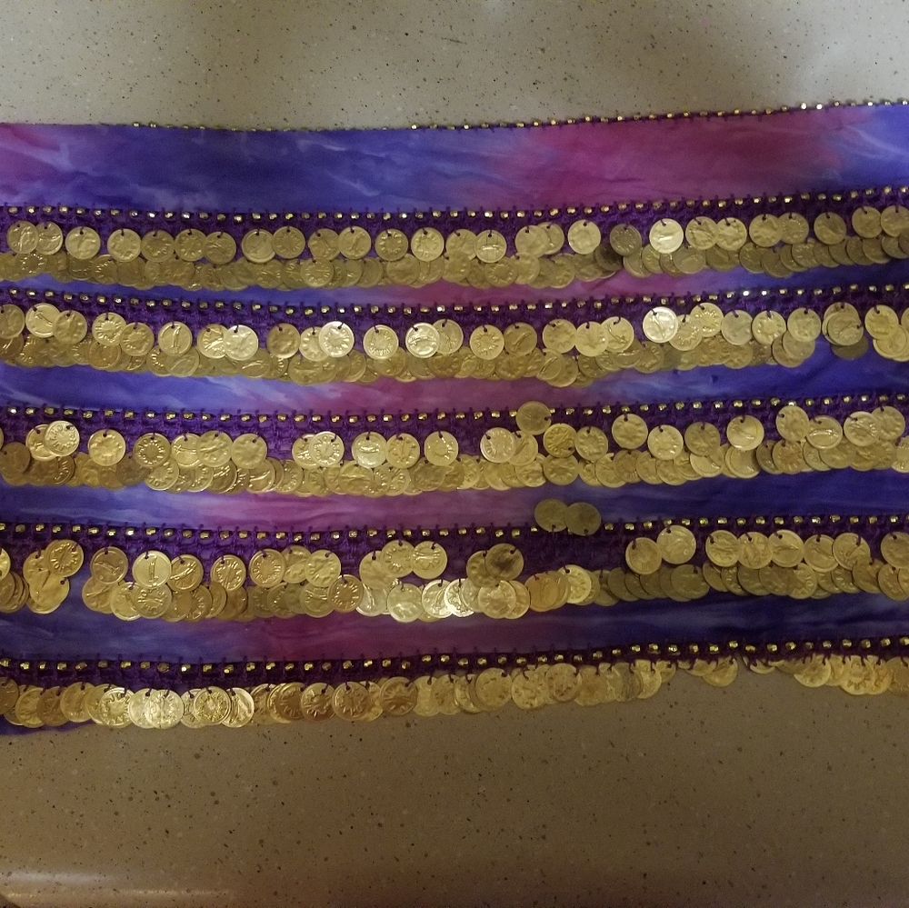 Coin Belt